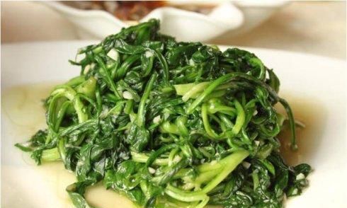 菊花菜炒肉怎么做好吃