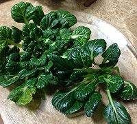 菊花菜的做法,花菜怎么做好吃图4