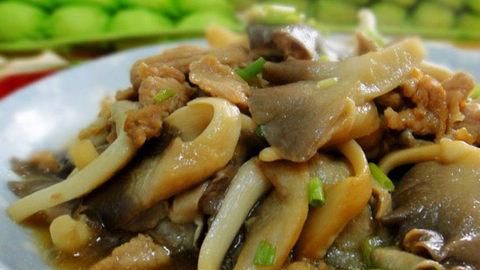 怎么炒蘑菇肉片好吃视频