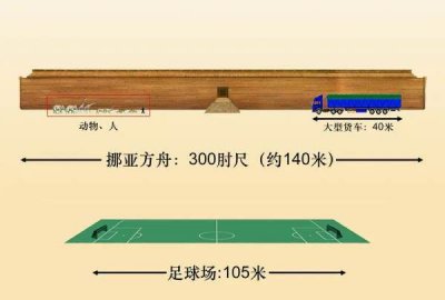​什么是诺亚方舟,什么叫诺亚方舟时代