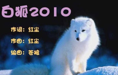 ​《白狐》的歌词是什么（歌曲《白狐》的歌词是什么）