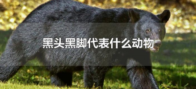 ​黑头黑脚代表什么动物（头黑脚黑是什么动物）