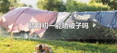 ​腊月初一能晒被子吗（腊月初一可以晒被子吗）