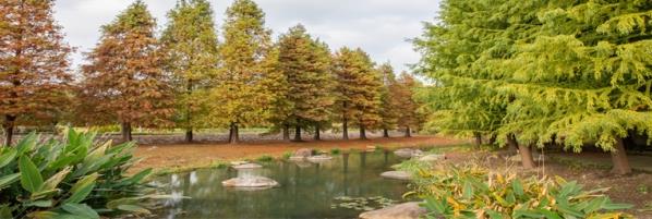 上海话册那是什么意思