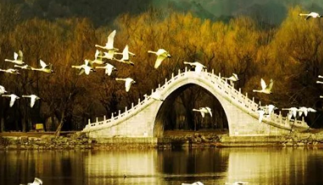 中国有哪些有名的桥,我国还有哪些有名的桥至少写三个除了赵州桥图5