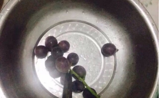 怎样酿制葡萄酒,怎么自己酿葡萄酒.比例多少图2