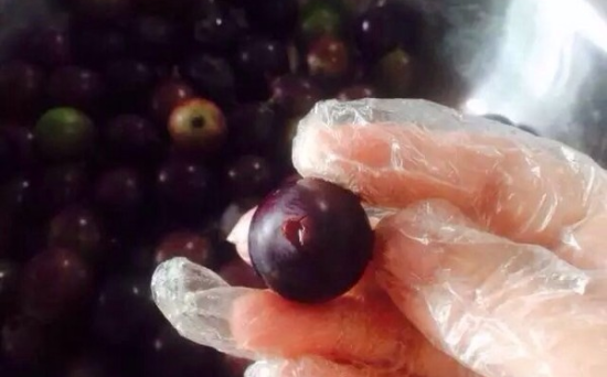 怎样酿制葡萄酒,怎么自己酿葡萄酒.比例多少图4