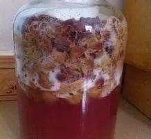 怎样酿制葡萄酒,怎么自己酿葡萄酒.比例多少图16