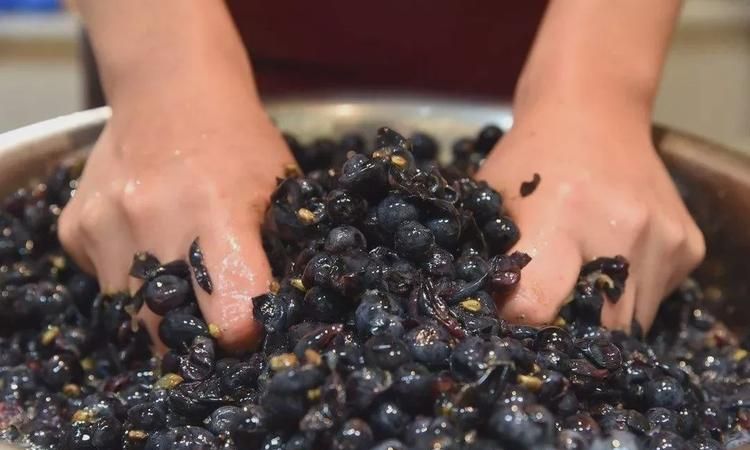 自己酿制的葡萄酒