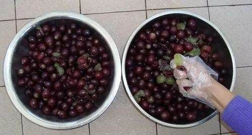 怎样酿制葡萄酒,怎么自己酿葡萄酒.比例多少图14