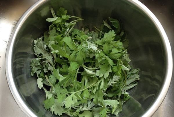 艾草的用法,路边的艾草图5