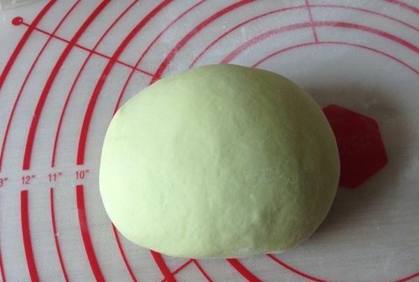 艾草的用法,路边的艾草图12