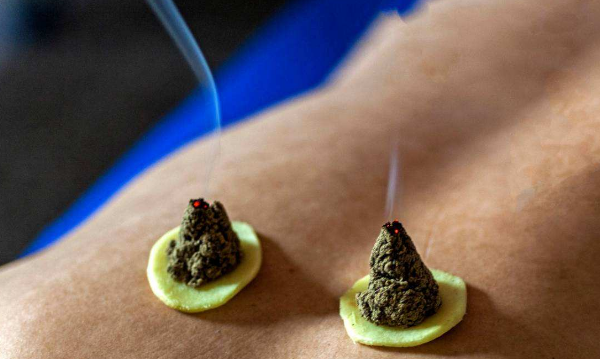 艾草的用法,路边的艾草图2