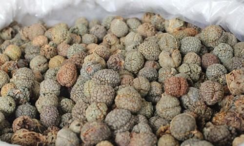 炖肉的香料有哪些,炖肉的香料有哪些图3