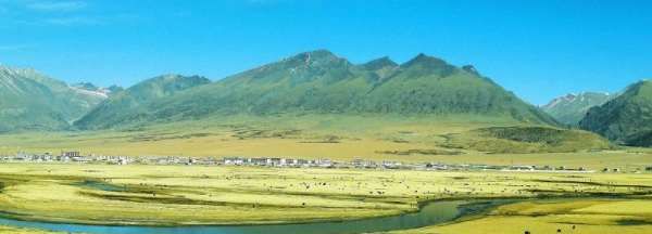 高原里有什么动物,青藏高原野生动物园有哪些动物图2