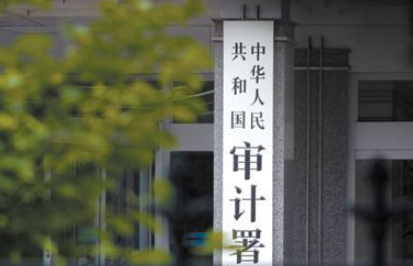 审计是做什么的,审计工作是做什么的简洁话图4