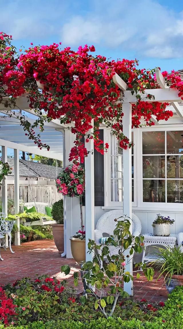 冬至要吃什么，冬至应该吃什么最好？图3