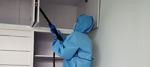 房间消毒的正确方法,室内如何消毒杀菌