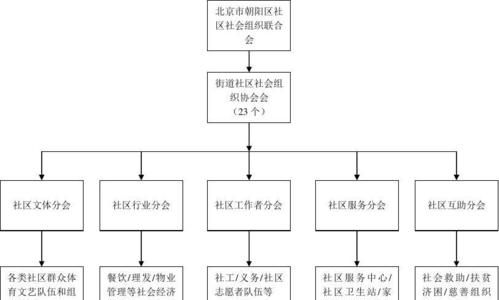 社会组织有哪些