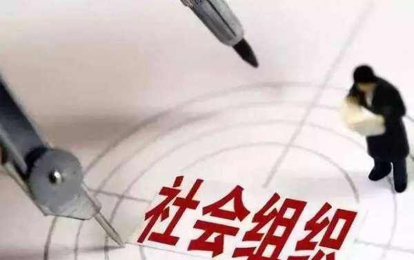 社会组织一般来说有哪些,社会组织包括哪些图1