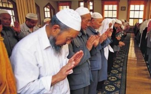 回民能吃火鸡肉吗