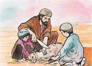 为什么回族人不吃肉