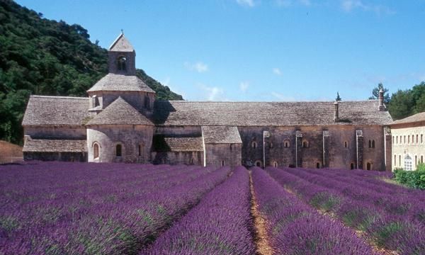 欧诗丹是哪个国家