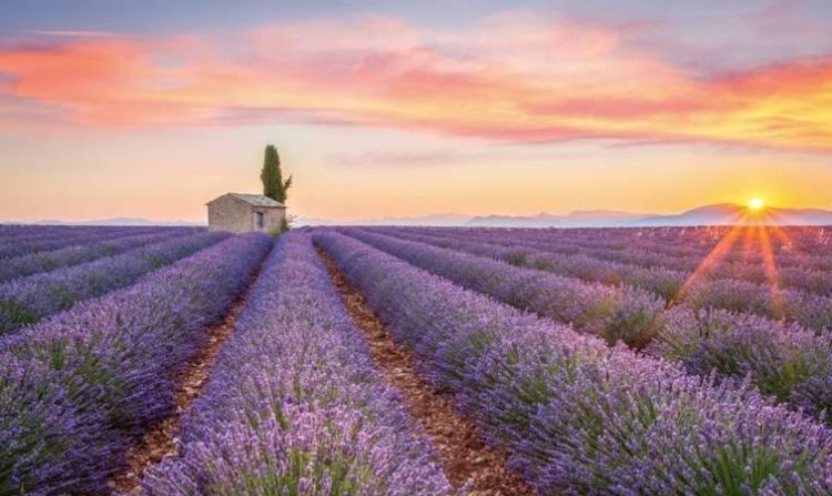 普罗旺世属于哪个省