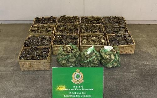 请说广东话的粤语怎么翻译