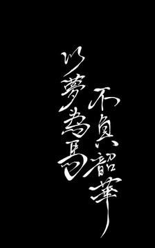 愿你以梦为马不负韶华什么意思