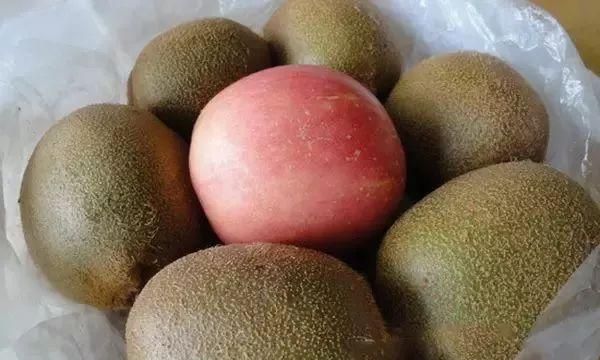 怎样催熟猕猴桃最快