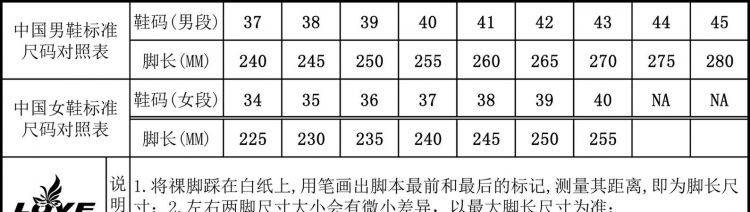 255是多少码的鞋子女