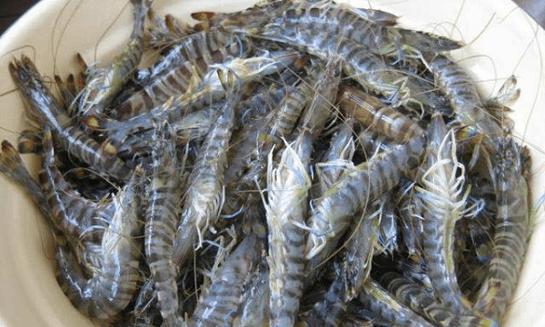 基围虾蒸多久才熟,基围虾蒸几分钟可以蒸熟图2