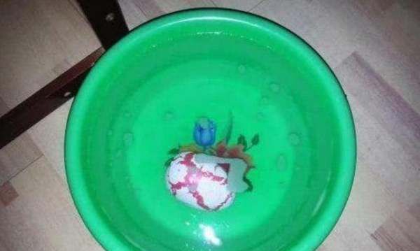 吹空调需要在室内放盆水吗,吹空调:要不要放一盆水在房间图5