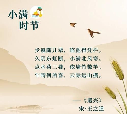 小满不满的下一句是什么