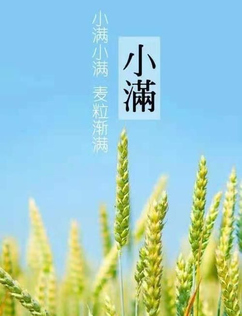 关于小满的人生哲理,二十四节气中为什么只有小满没有大满
