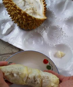 ​榴莲怎么打开外壳没有裂缝,榴莲怎么拨开哦