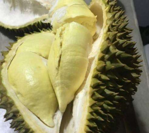 榴莲怎么打开外壳没有裂缝,榴莲怎么拨开哦图5