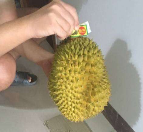 榴莲怎么打开外壳没有裂缝,榴莲怎么拨开哦图3