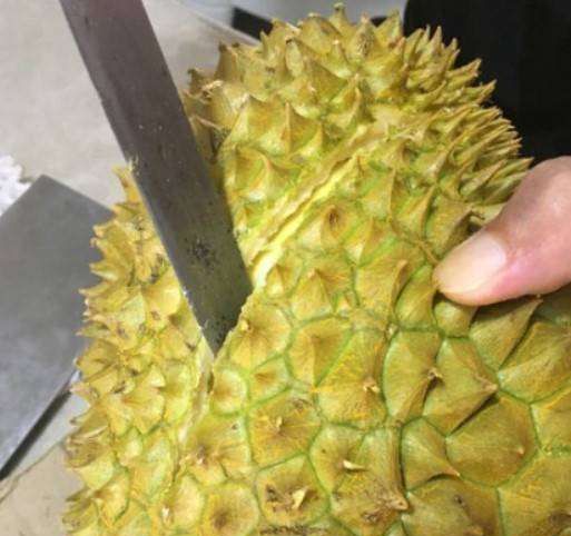 榴莲怎么打开外壳没有裂缝,榴莲怎么拨开哦图4