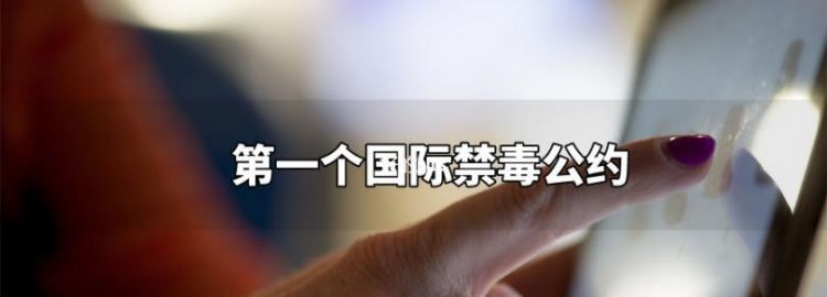 世界上第一个国际禁毒公约是什么我国禁毒工作的治本之策是