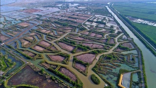 四大淡水湖，中国四大淡水湖哪四个？图3