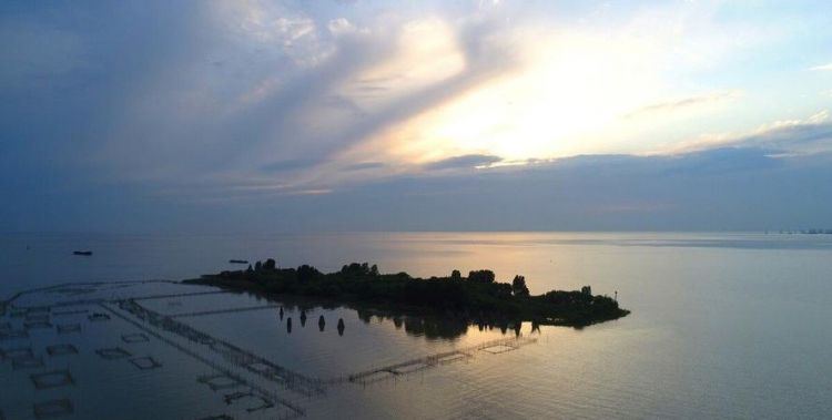 四大淡水湖面积排名