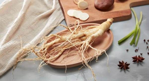 箭叶秋葵是人参,叶子像秋葵叶子但不是秋葵是什么图5