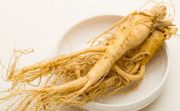 箭叶秋葵是人参,叶子像秋葵叶子但不是秋葵是什么图6