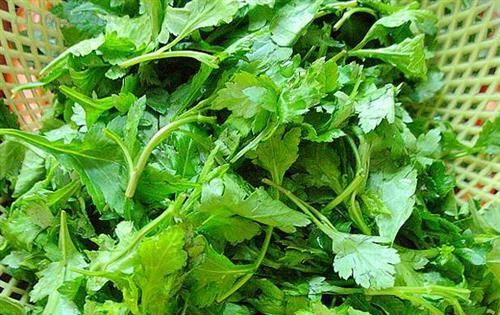 煮菊花水要煮几分钟