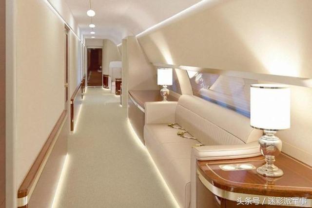普京专机有什么特点 揭秘普京奢华专机内部景象(2)