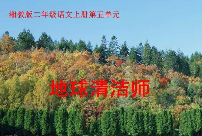 地球上的清洁工有哪些动物