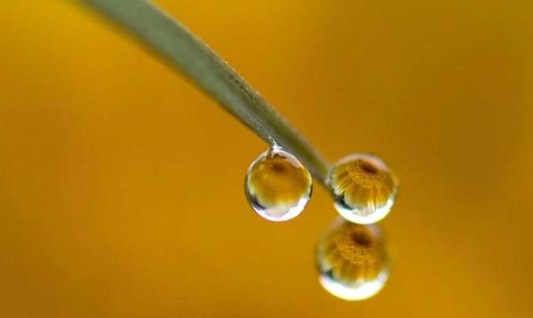 像蜡烛和露珠的事物有什么