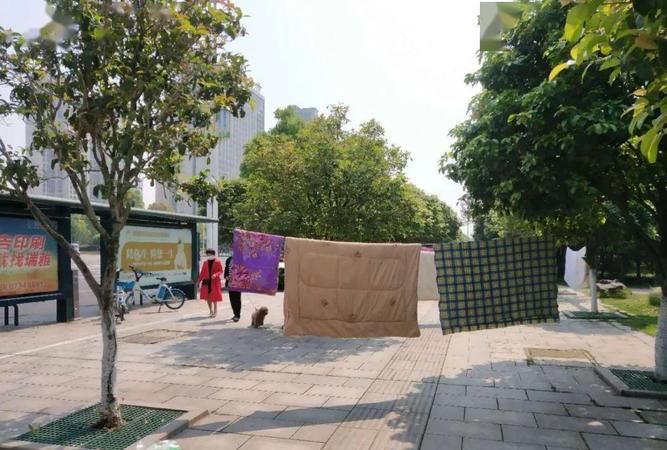 被子晒了晚上不收第二天接着晒可以吗